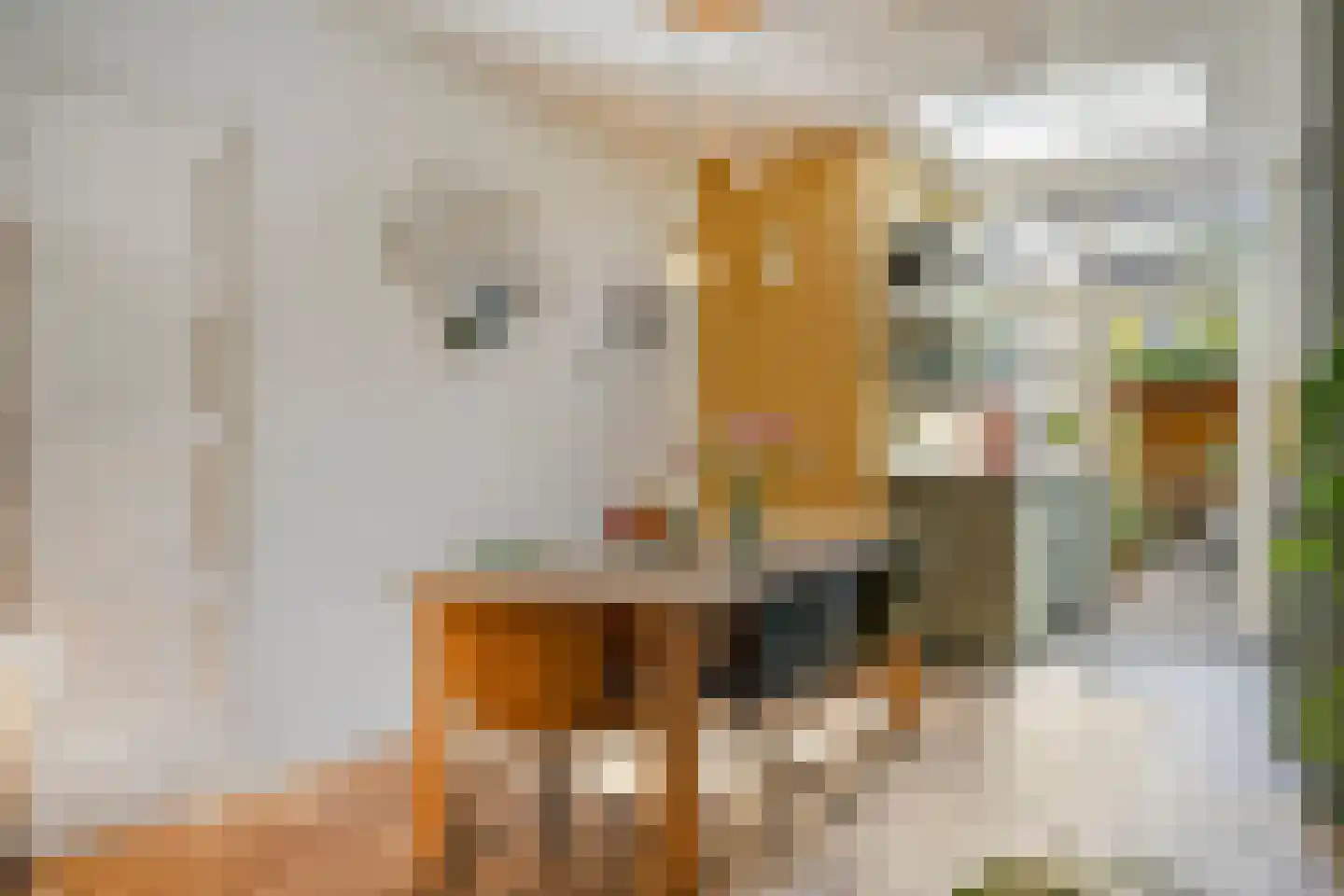 Sophiastraat 15 Pijnacker thumbnail 5