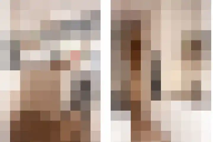Sophiastraat 17 Haarlem thumbnail 10