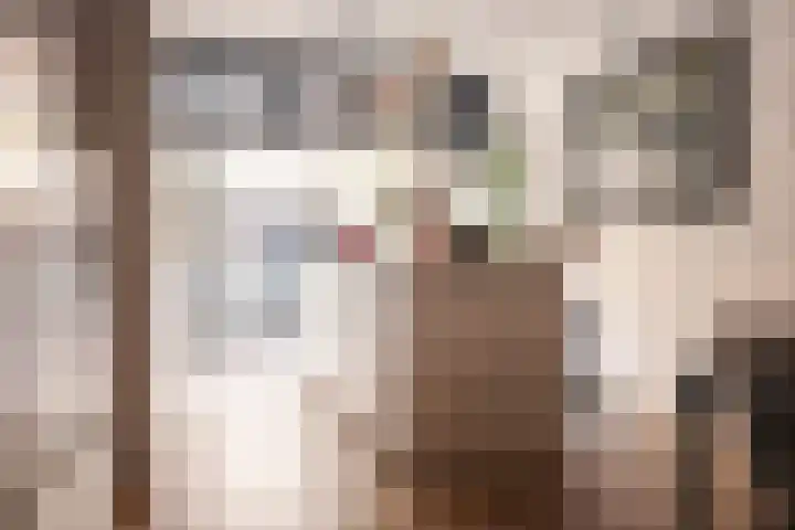Sophiastraat 17 Haarlem thumbnail 12