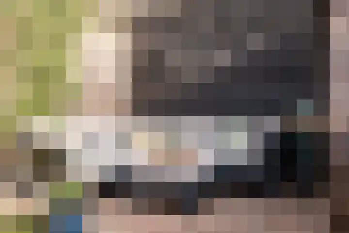 Sophiastraat 17 Haarlem thumbnail 16