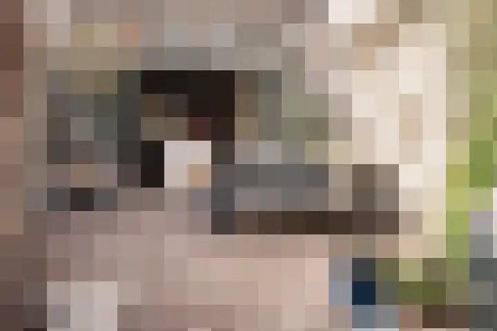 Sophiastraat 17 Haarlem thumbnail 17