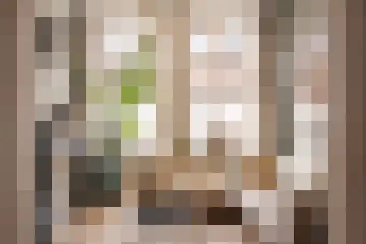 Sophiastraat 17 Haarlem thumbnail 4