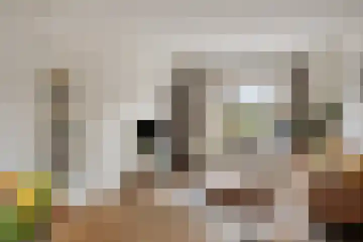Sophiastraat 17 Hengelo thumbnail 10