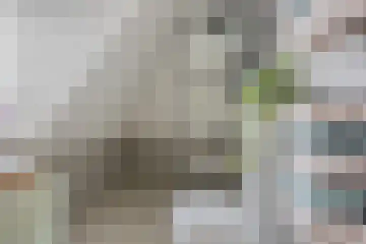 Sophiastraat 17 Hengelo thumbnail 22