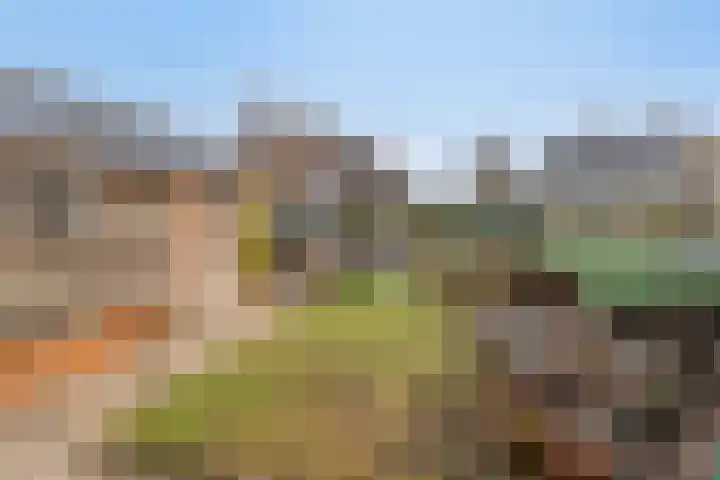 Sophiastraat 17 Hengelo thumbnail 26