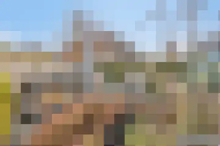 Sophiastraat 17 Hengelo thumbnail 29