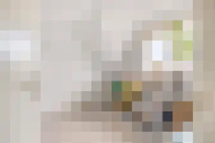 Sophiastraat 18 Hengelo thumbnail 18