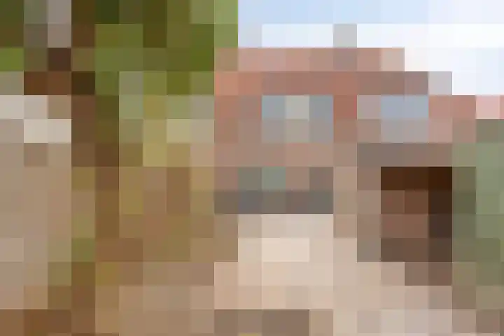 Sophiastraat 18 Hengelo thumbnail 22