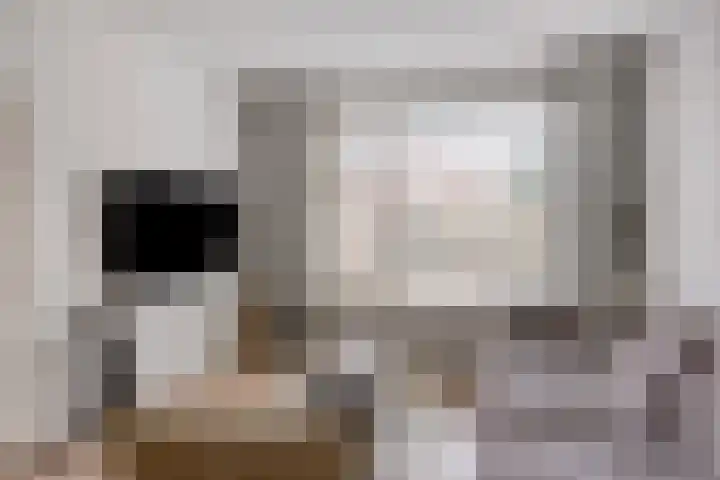 Sophiastraat 18 Hengelo thumbnail 7