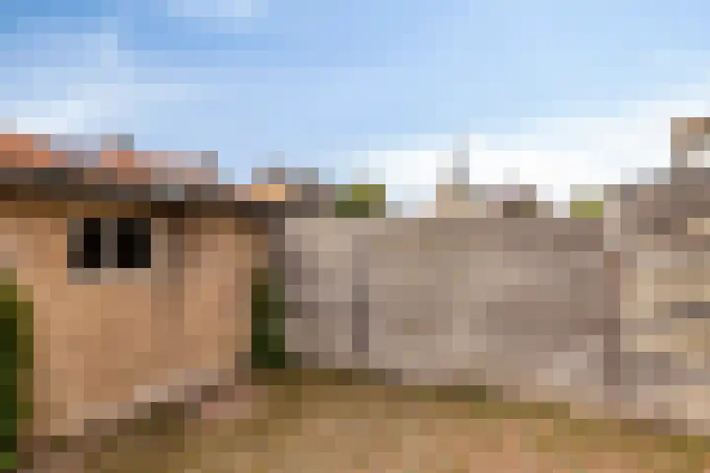 Sophiastraat 18 Herpen thumbnail 19