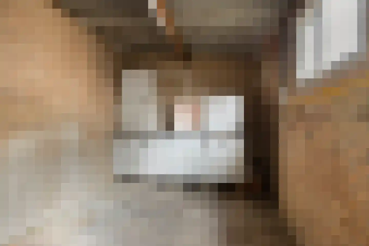 Sophiastraat 18 Herpen thumbnail 20