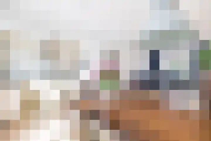 Sophiastraat 2 Voorburg thumbnail 10