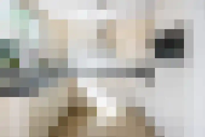 Sophiastraat 2 Voorburg thumbnail 11