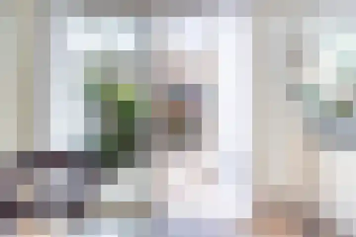 Sophiastraat 2 Voorburg thumbnail 13