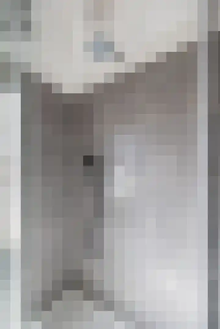 Sophiastraat 2 Voorburg thumbnail 27