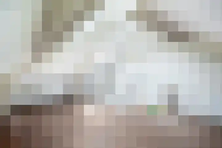 Sophiastraat 2 Voorburg thumbnail 31