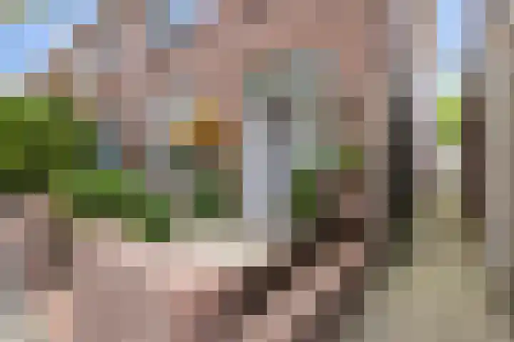 Sophiastraat 2 Voorburg thumbnail 33