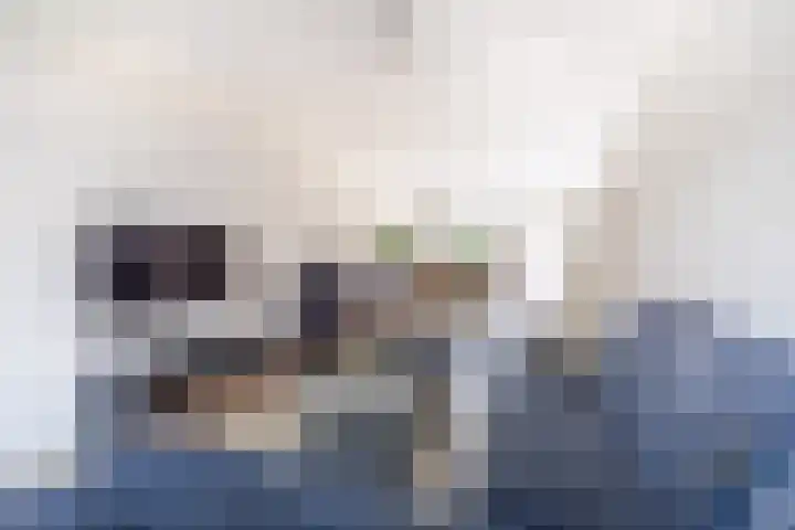 Sophiastraat 2 Voorburg thumbnail 8