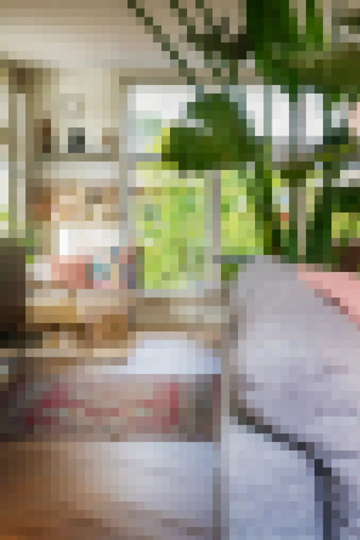 Sophiastraat 2 Zutphen thumbnail 15
