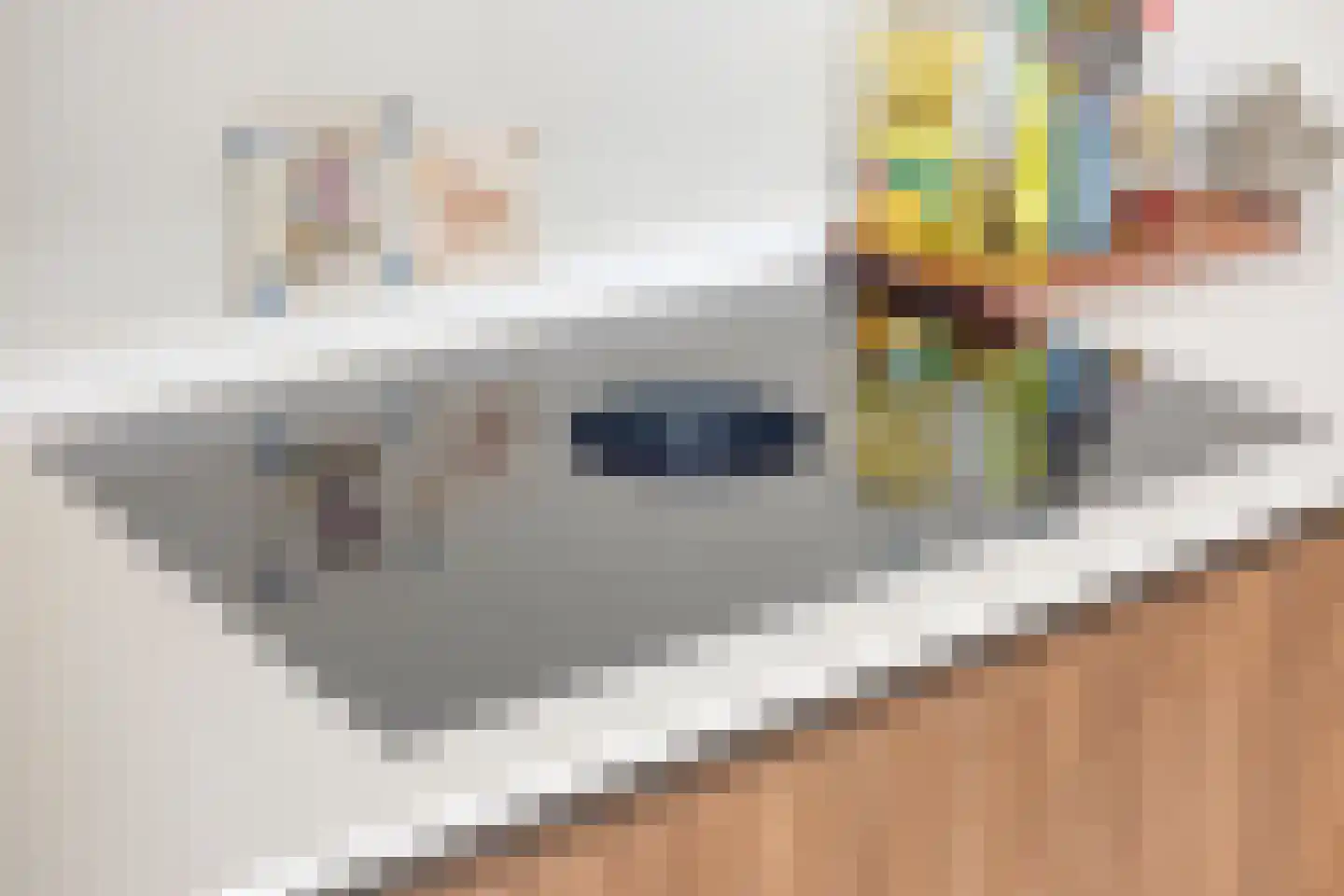 Sophiastraat 2 Zutphen thumbnail 26