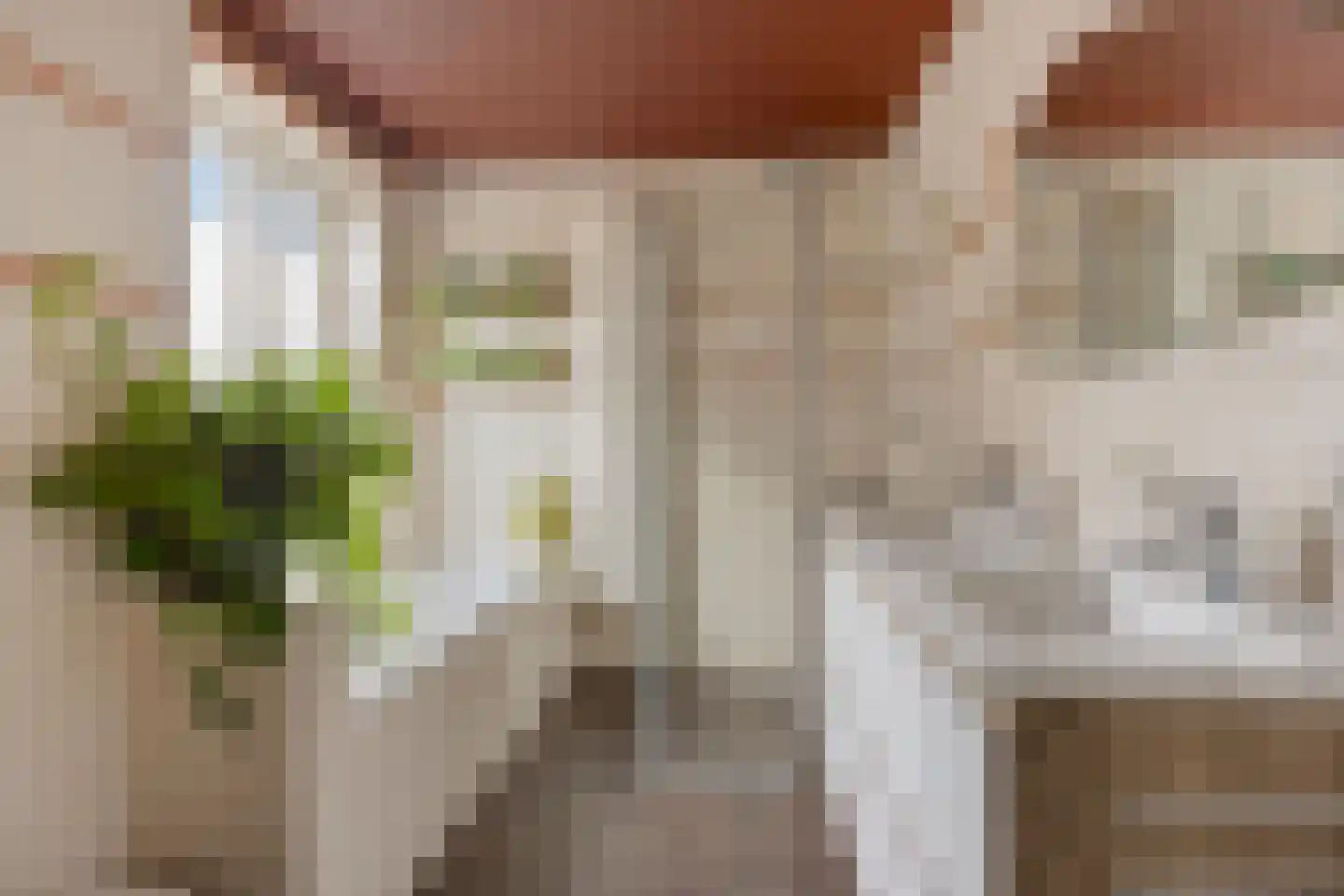 Sophiastraat 2 Zutphen thumbnail 32