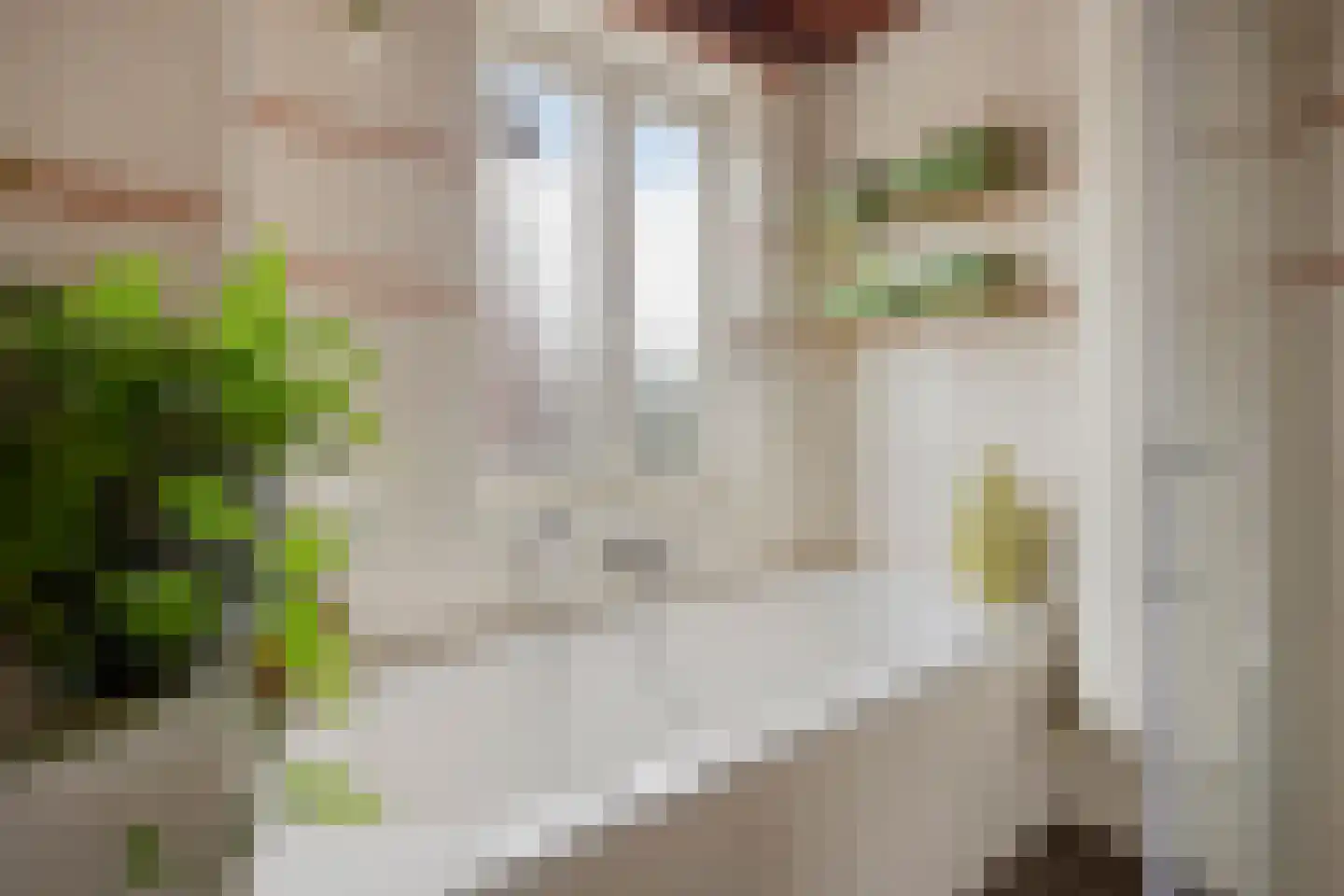 Sophiastraat 2 Zutphen thumbnail 34