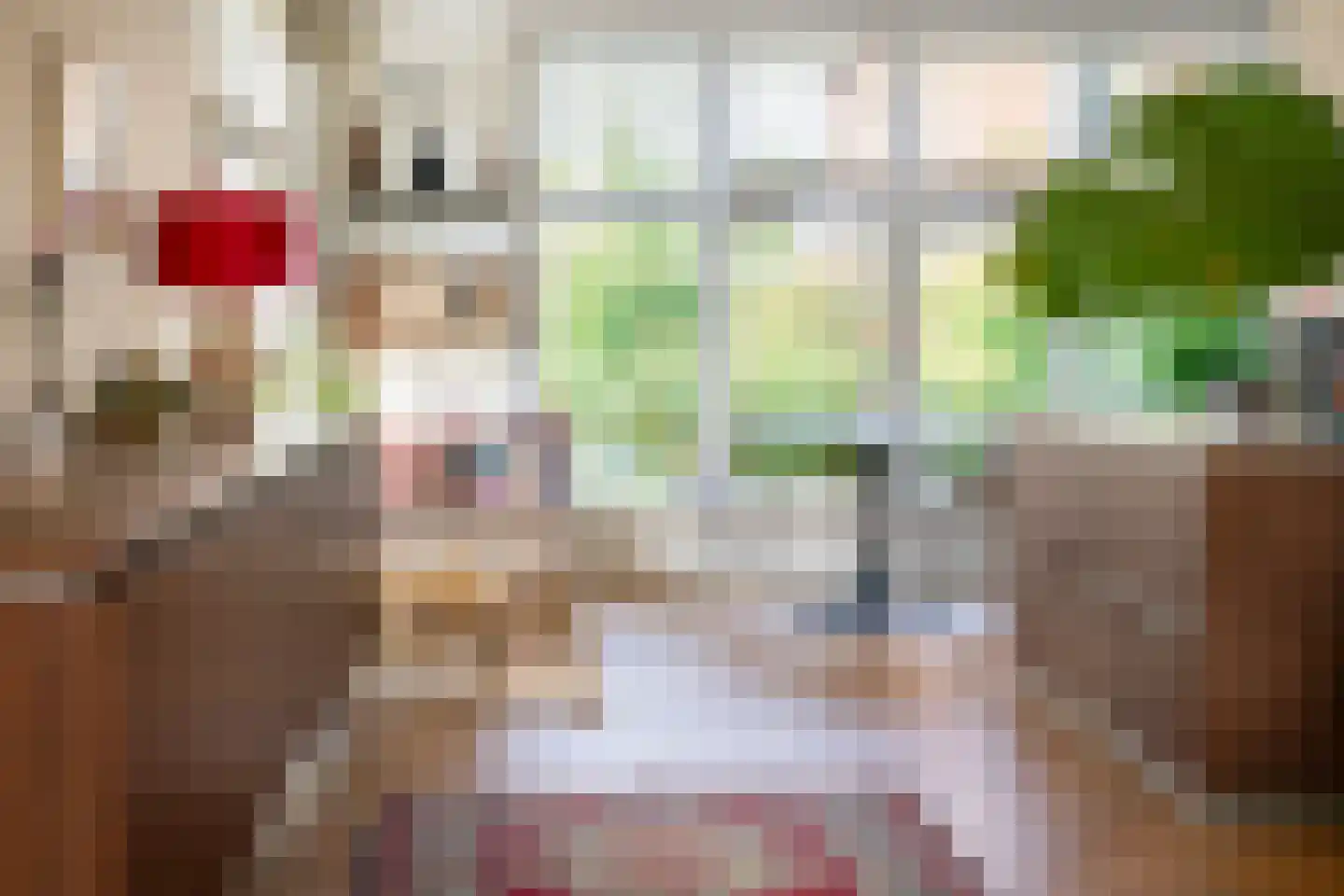 Sophiastraat 2 Zutphen thumbnail 4