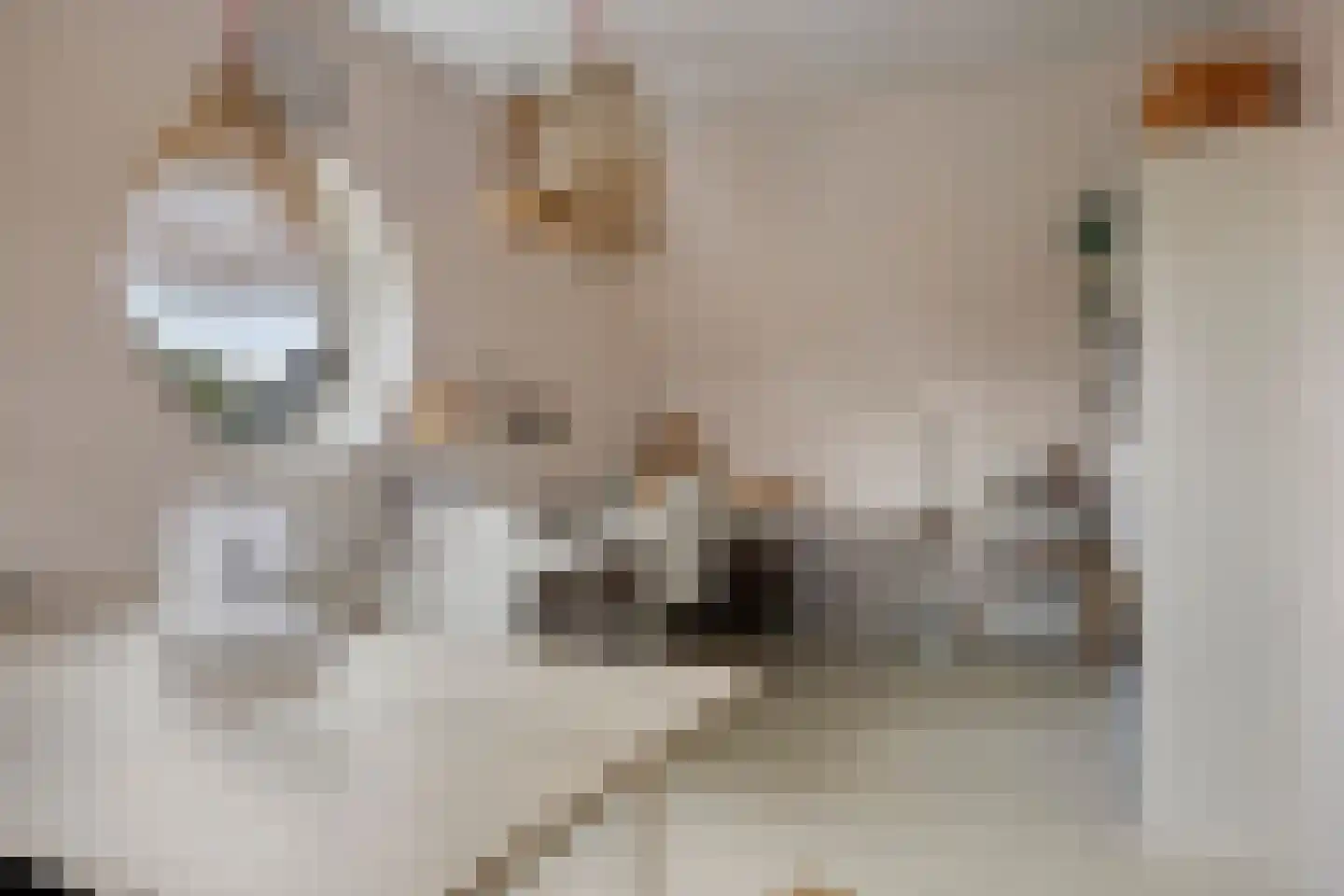Sophiastraat 2 Zutphen thumbnail 41