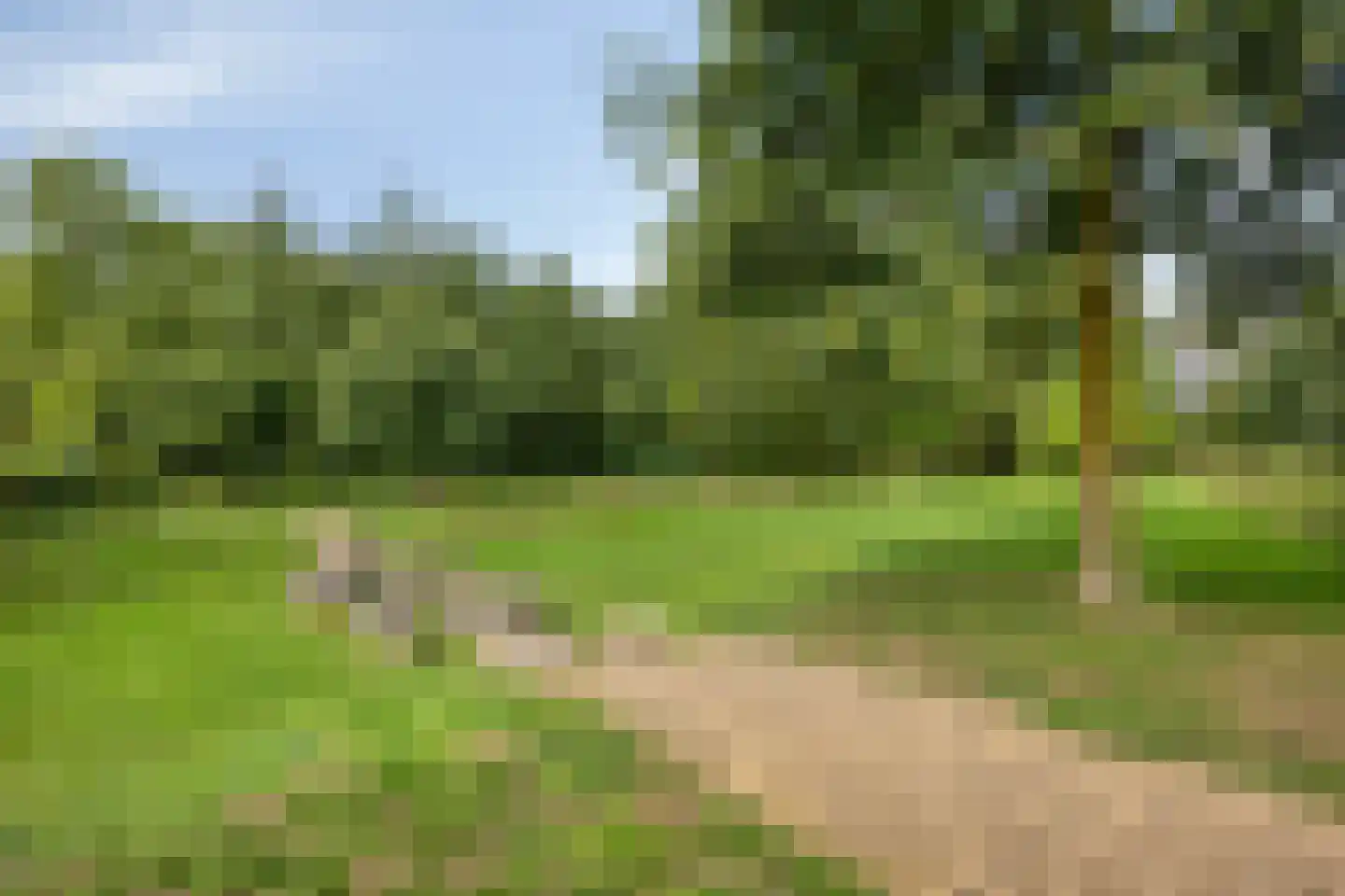 Sophiastraat 2 Zutphen thumbnail 52