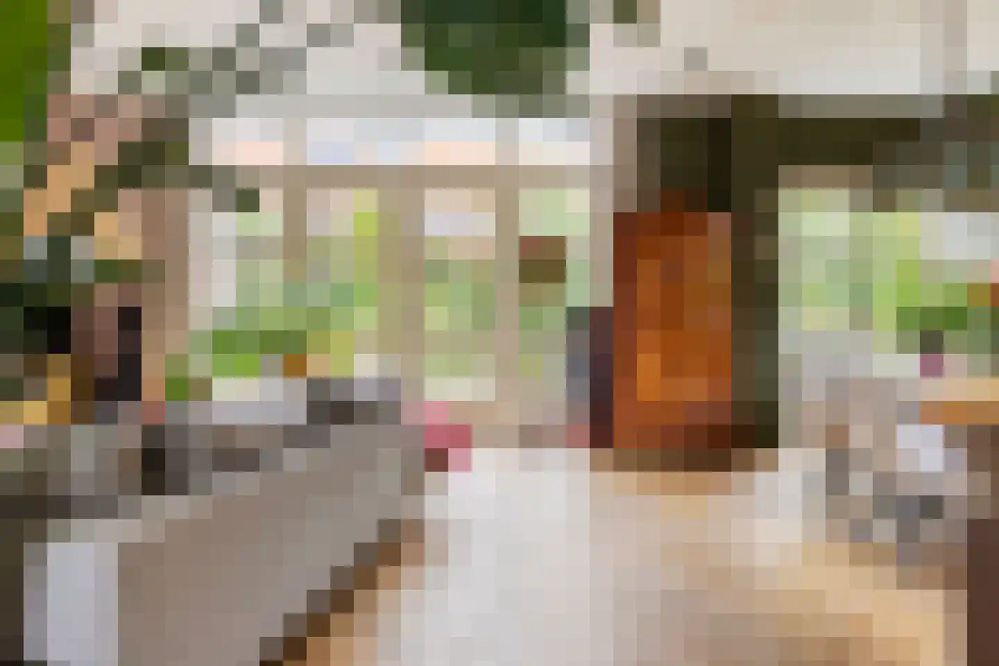 Sophiastraat 2 Zutphen thumbnail 8