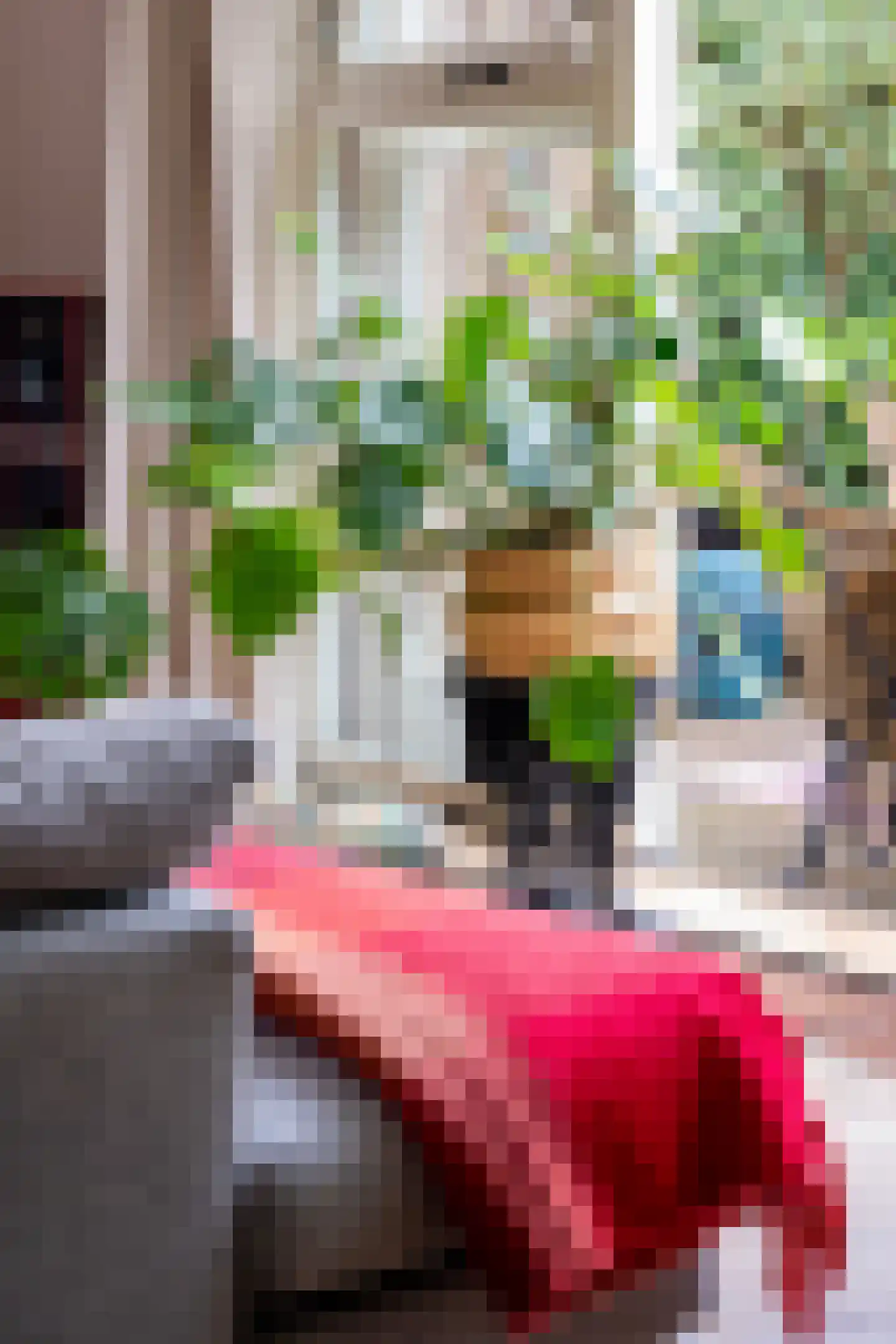 Sophiastraat 2 Zutphen thumbnail 9
