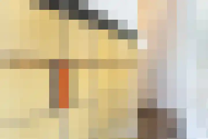 Sophiastraat 24 Gouda thumbnail 10