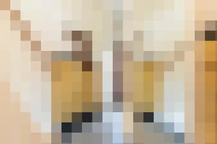 Sophiastraat 24 Gouda thumbnail 11