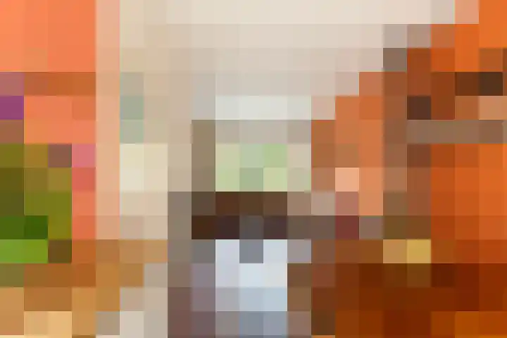 Sophiastraat 24 Gouda thumbnail 13