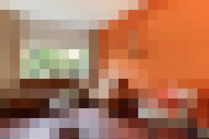 Sophiastraat 24 Gouda thumbnail 14