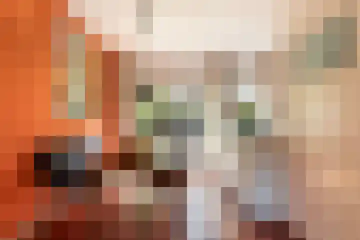 Sophiastraat 24 Gouda thumbnail 17