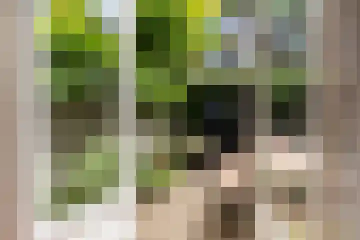 Sophiastraat 24 Gouda thumbnail 21