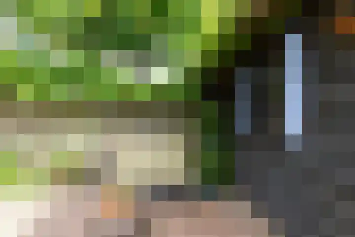 Sophiastraat 24 Gouda thumbnail 24
