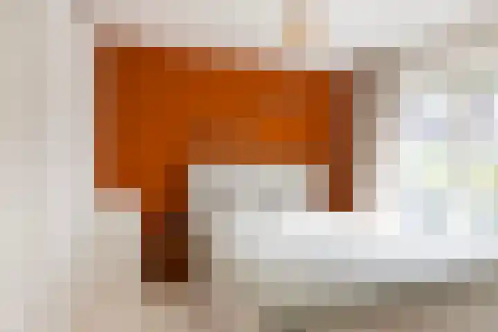 Sophiastraat 24 Gouda thumbnail 26