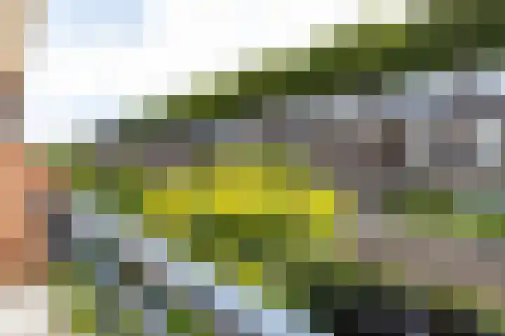 Sophiastraat 24 Gouda thumbnail 30