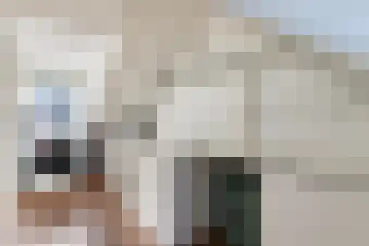 Sophiastraat 24 Gouda thumbnail 41
