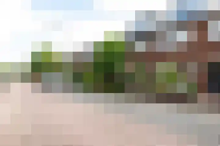 Sophiastraat 24 Gouda thumbnail 43