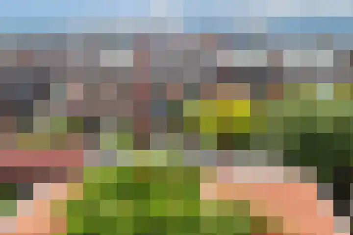 Sophiastraat 24 Gouda thumbnail 5