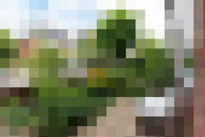 Sophiastraat 24 Gouda thumbnail 6