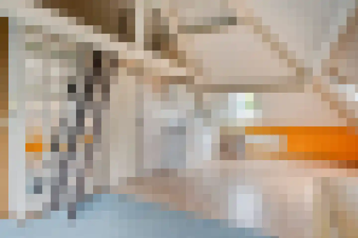 Sophiastraat 25 Breda thumbnail 34