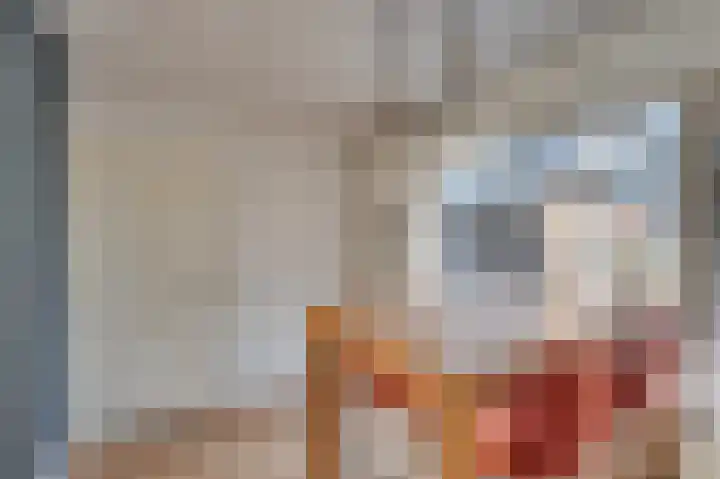 Sophiastraat 27 Venlo thumbnail 12