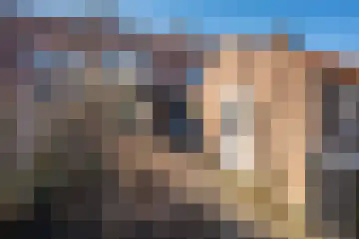 Sophiastraat 27 Venlo thumbnail 27