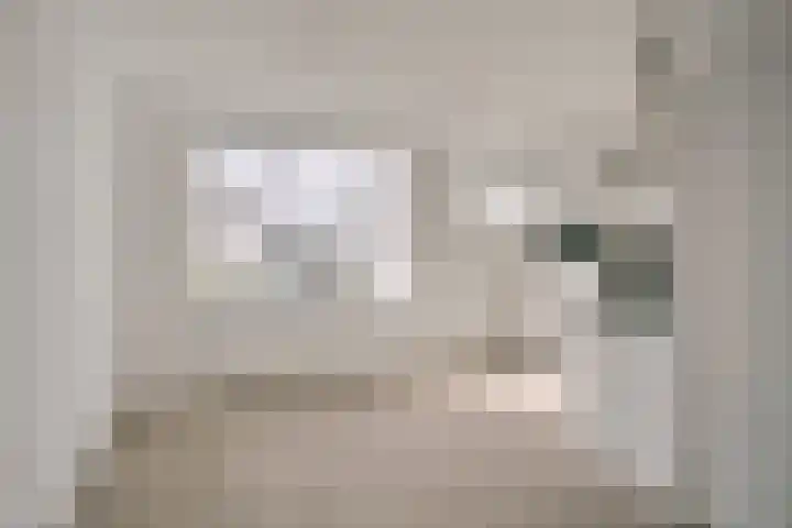 Sophiastraat 3 A Leiden thumbnail 11