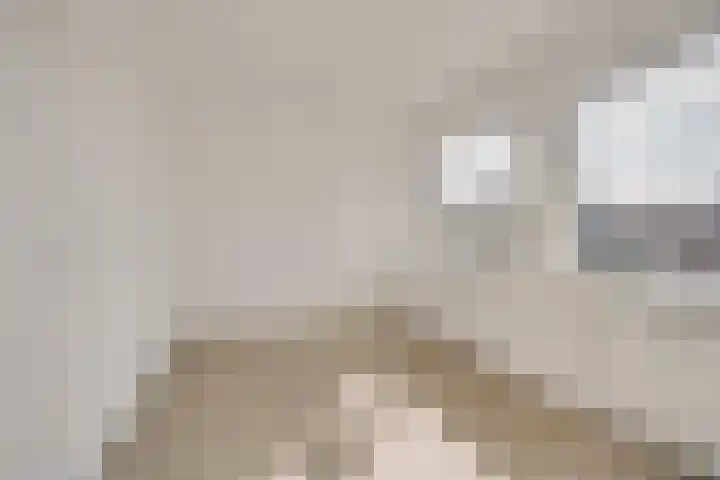 Sophiastraat 3 A Leiden thumbnail 21