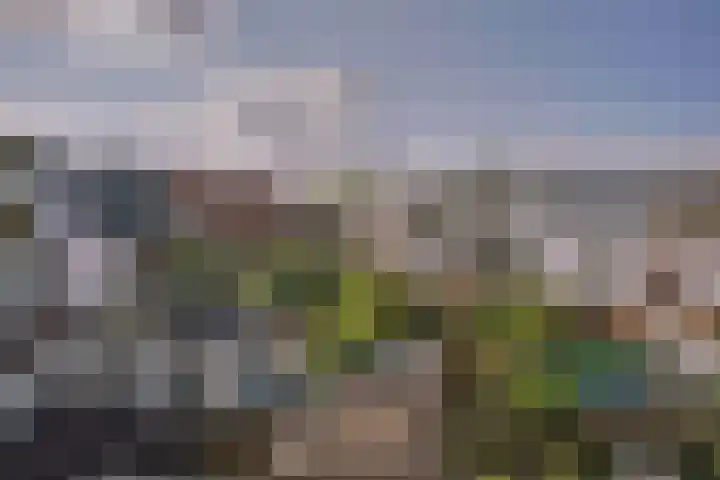 Sophiastraat 3 A Leiden thumbnail 23